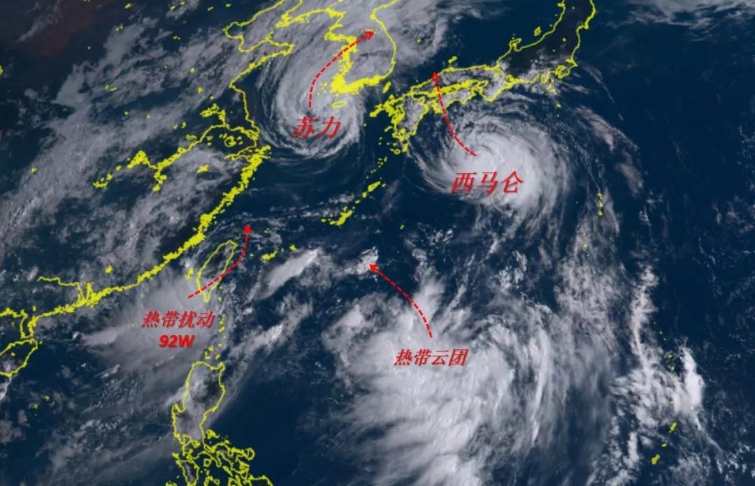福建技能攻略，从入门到进阶的详细步骤指南