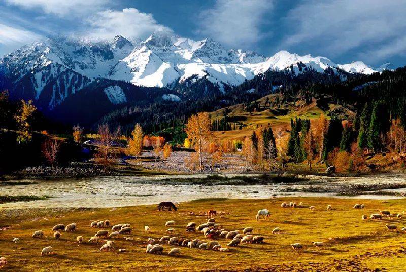 新疆,向尊敬的听众朋友们致意