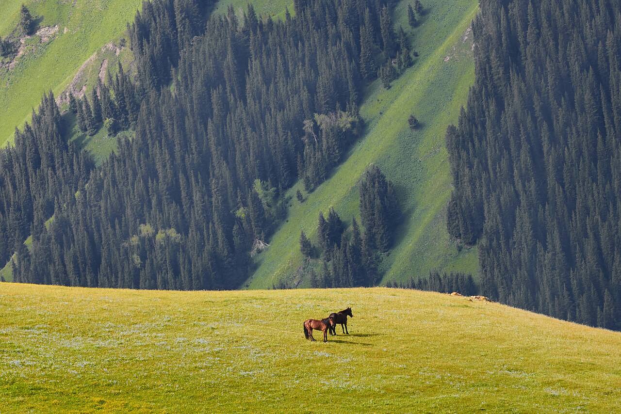 新疆,向尊敬的听众朋友们致意