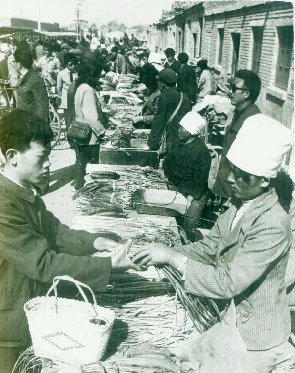 乌海，阳光照耀下的温情日常