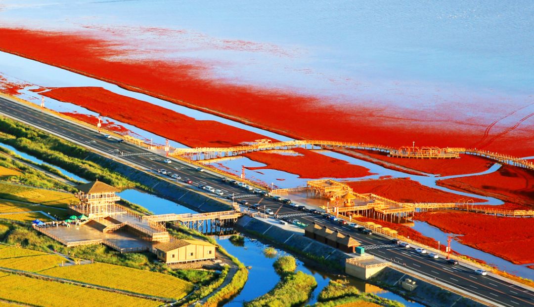 盘锦，独特魅力的城市风采